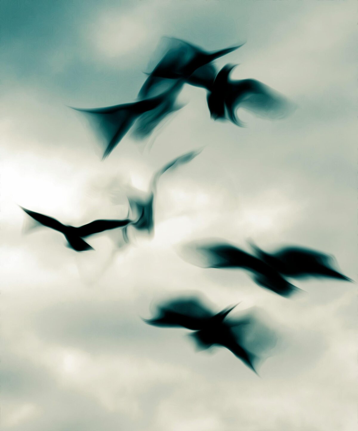Abstract silhouettes of birds in motion blur creating ghostly shapes against clouded sky