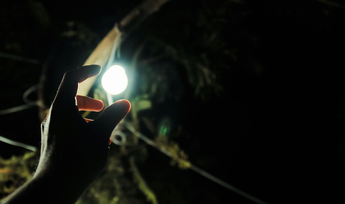 Hand holding radiant light orb in darkness with mysterious shadows and branches