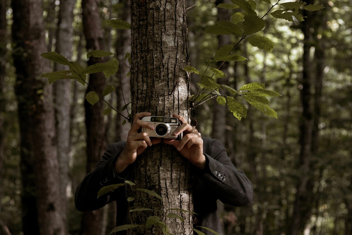 Photographer with vintage camera merging with tree trunk in misty forest blending human and nature